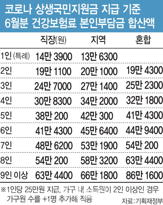 5차 재난지원금 11