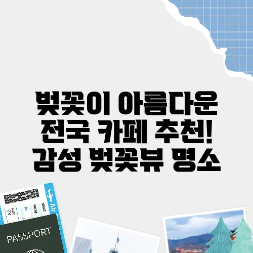 벚꽃이 아름다운 전국 카페 추천! 감성 벚꽃뷰 명소