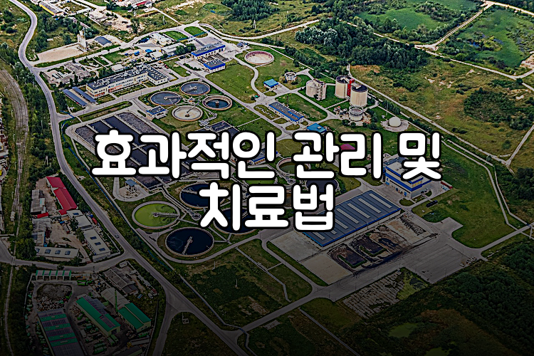 효과적인 관리 및 치료법