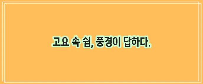 풍안 이미지
