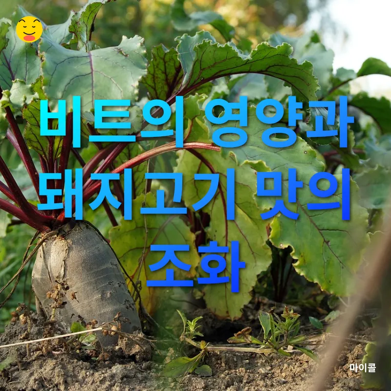 팝 아트의 유산_1