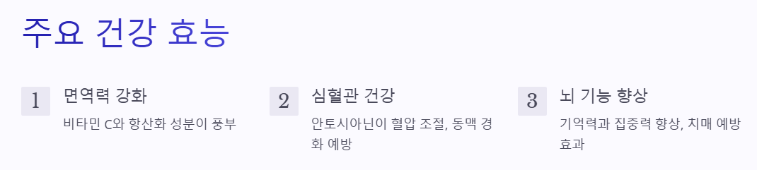 블루베리 주요 건강 효능