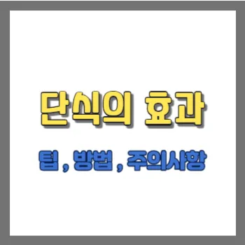  단식의 효과와 팁 , 방법 , 주의사항