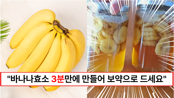 “앞으로 바나나는 이렇게 드세요” 바나나 4개로 한달간 맛있게 먹는 바나나 효소 만들기 (+지방분해, 노화방지, 변비예방까지)