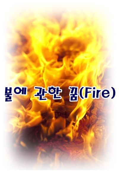  [무료꿈해몽]불, 열에 관한 꿈 - 방안에불,아파트화재,산불,폭죽,하늘에서불덩이,전기선스파크,도시전체화재,불 태몽,강물호수불,연탄불꿈 등