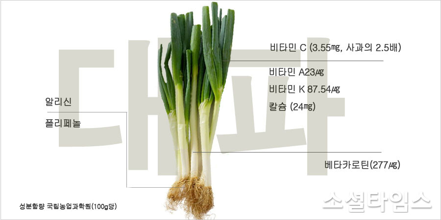 파의 영양성분