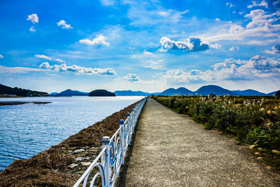 거제 오수마을 갈대밭 가을이 찾아온 14