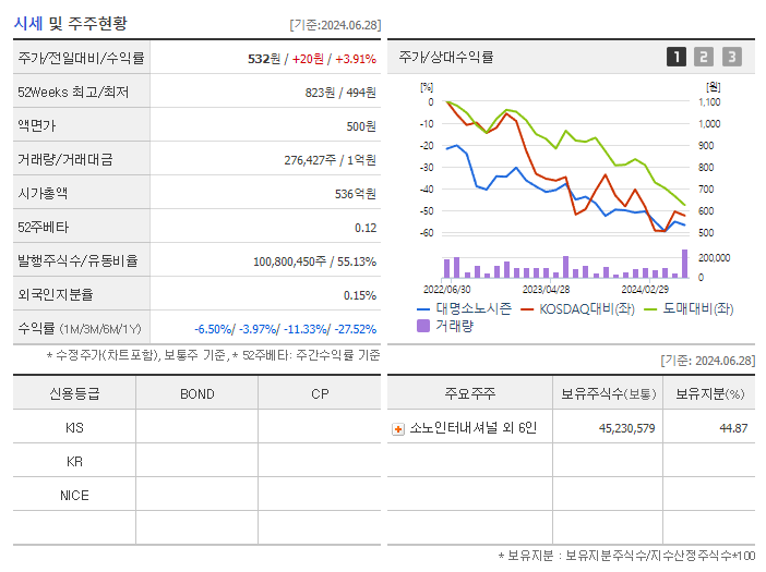 대명소노시즌_기업개요