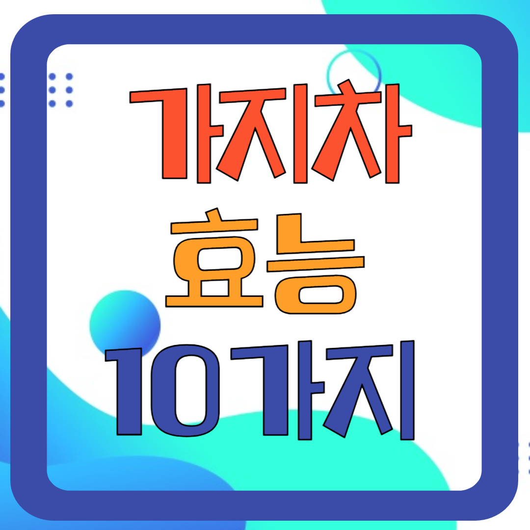 가지차 효능 10가지