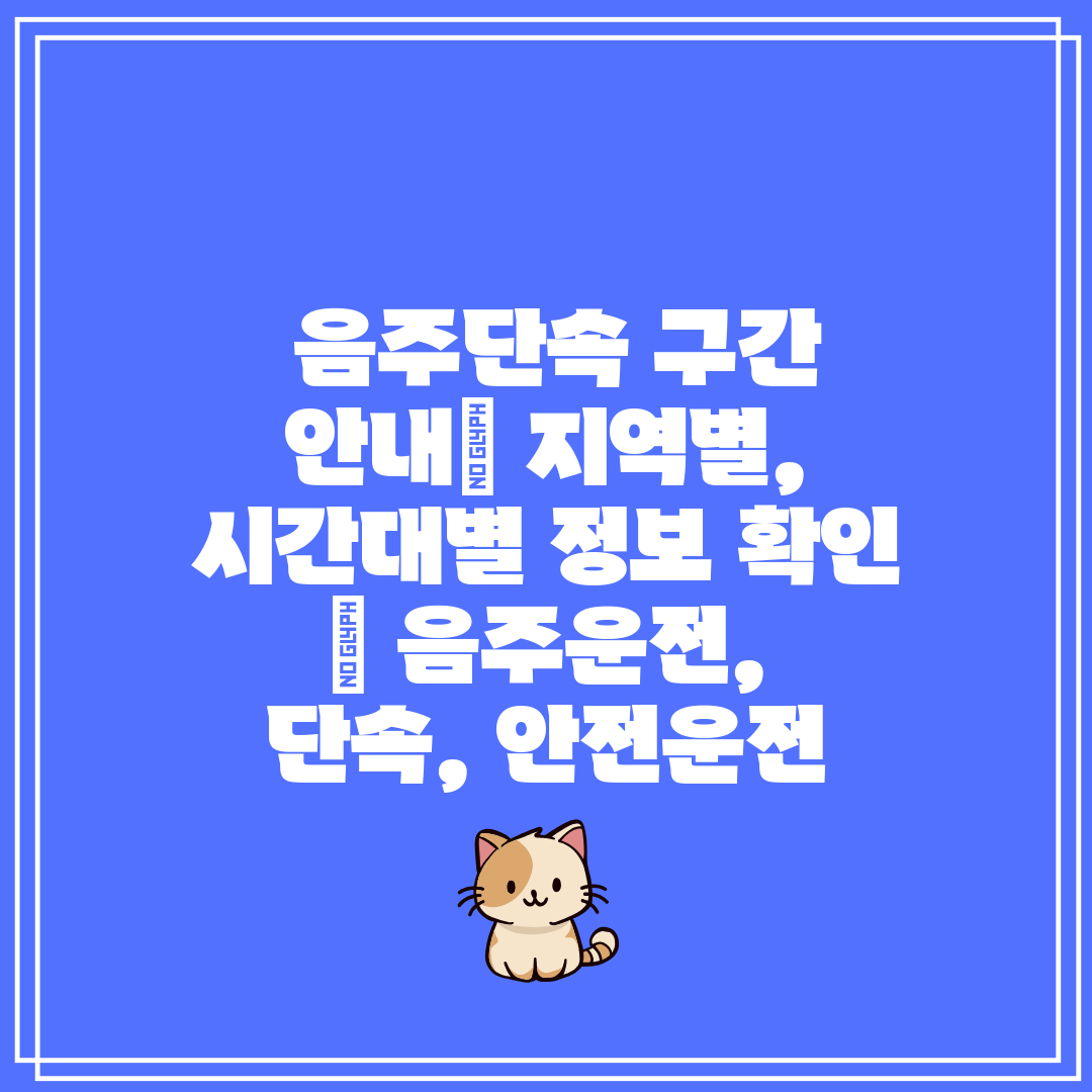 음주단속 구간 안내 지역별, 시간대별 정보 확인 음