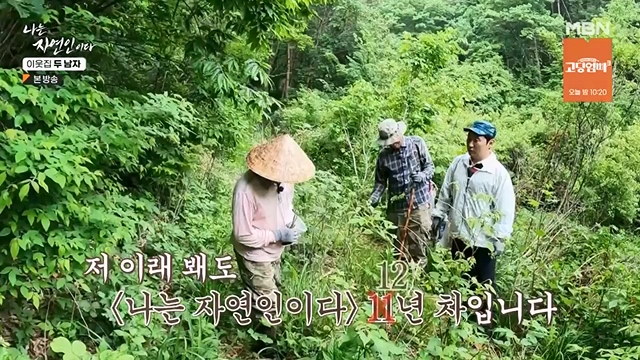 나는 자연인이다.E558.230615p-NEXT.mp4_20230615_200815.895.jpg