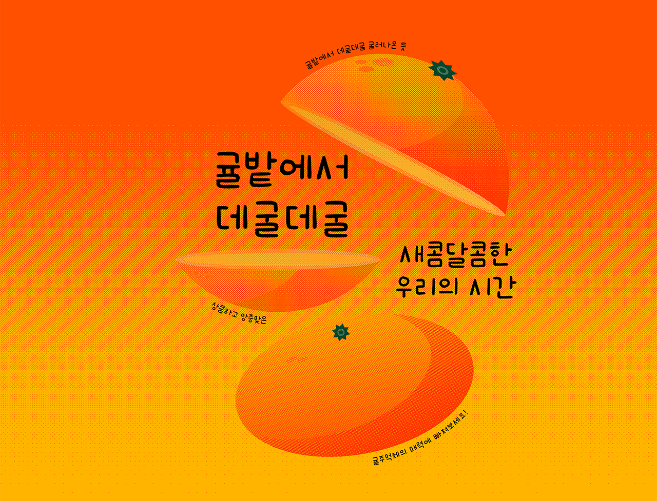 폰코 폰트 공캘리그라피 귤주먹