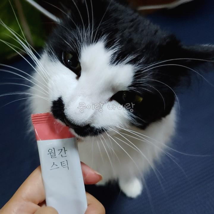  [고양이 간식] '월간스틱' 닭가슴살&연어 츄르