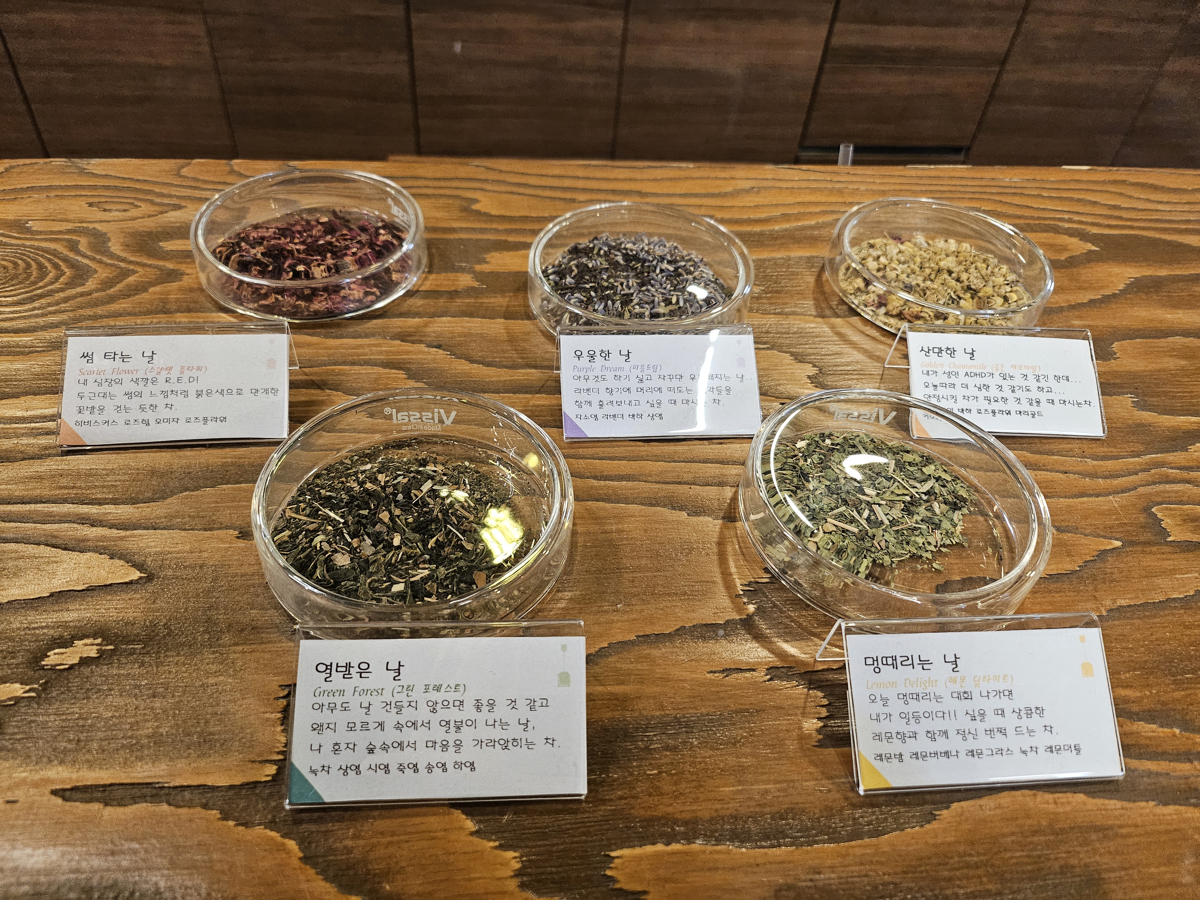 디어문(Dear Moon) 이미지