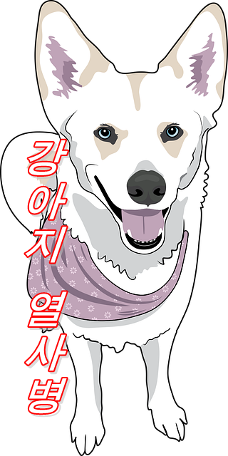  반려견 열사병 대책이나 예방법이란?