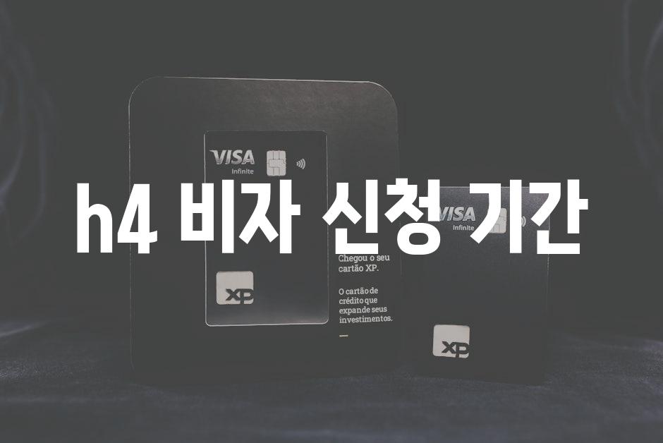 Visa 1