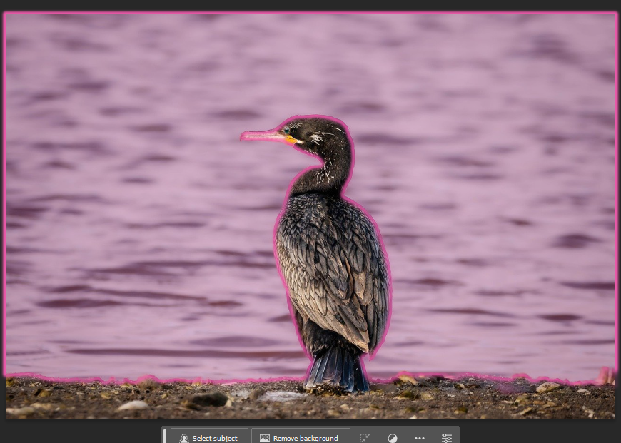 Object Selection Tool 이용해서 물가 잡기