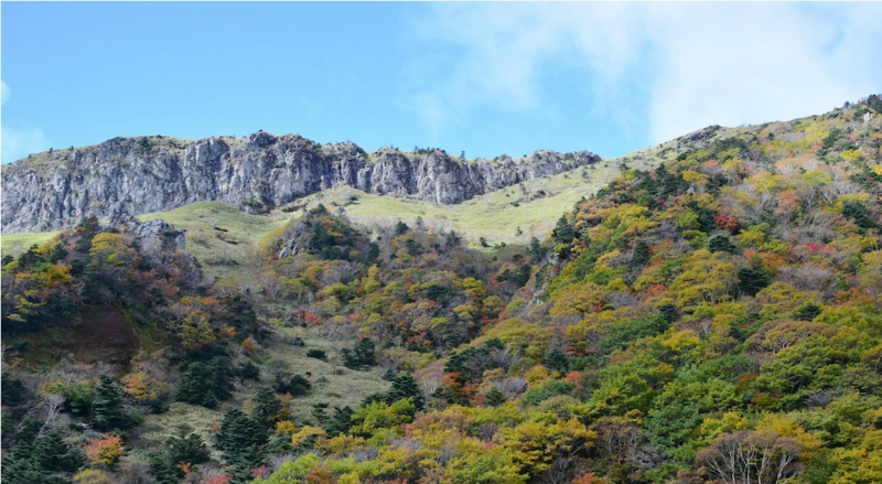 한라산-관음사-탐방로