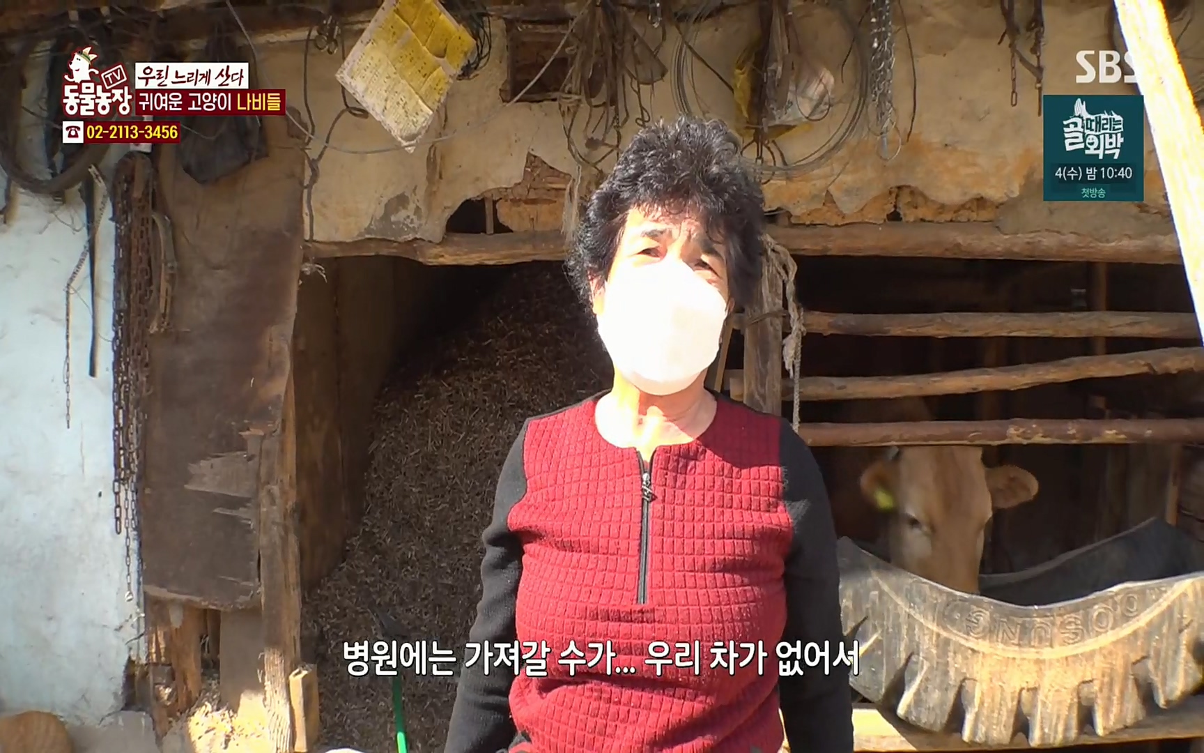 TV 동물농장.E1067.220501p.H264-F1RST.mp4_20220501_183752.686.jpg