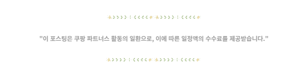 2023년 블랙프라이 데이 기간 |2024년 2025년 2026년 ~ 2030년
