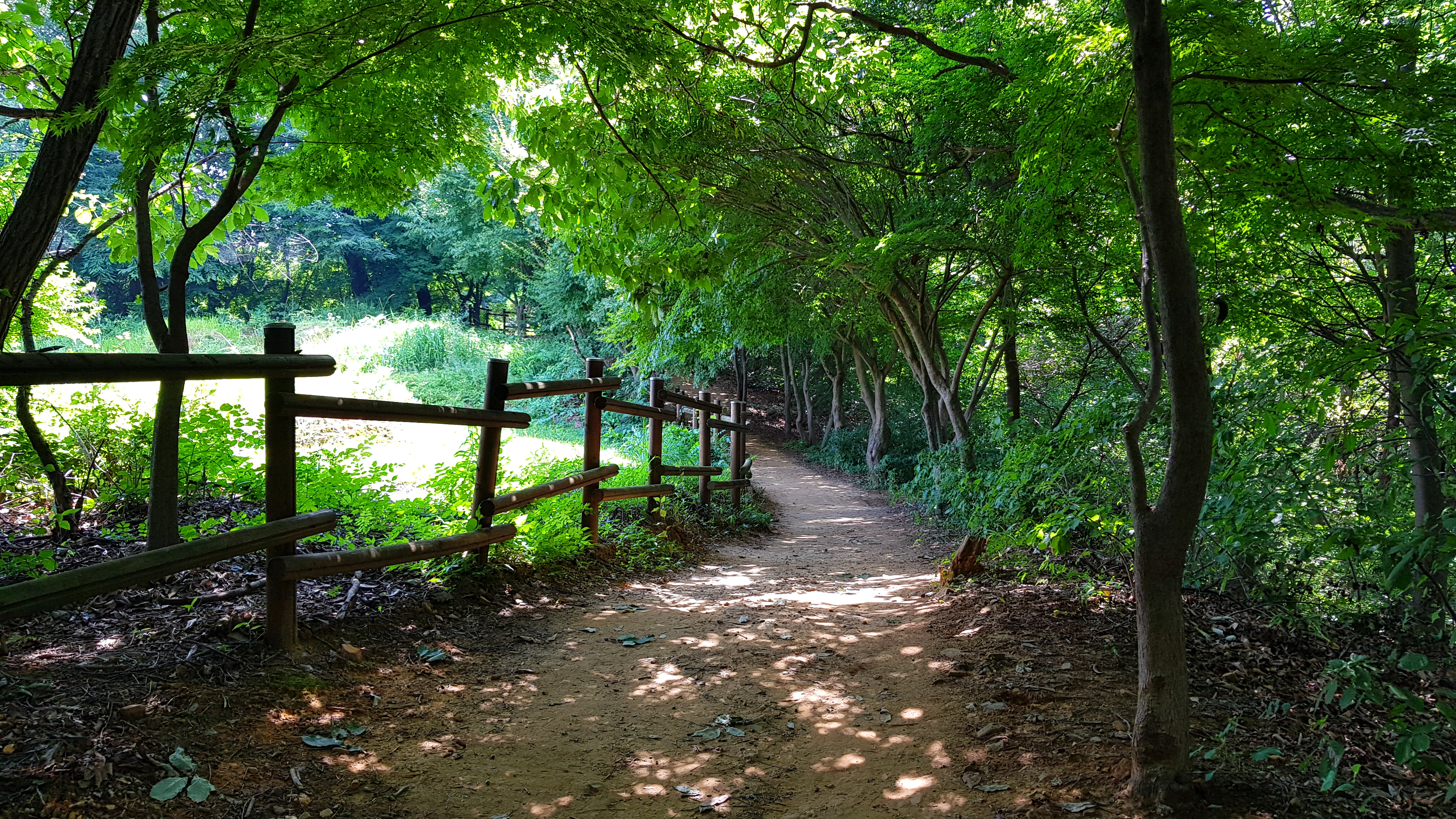 황방산 등산 길