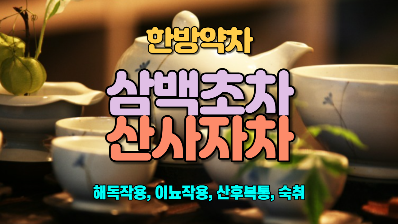  삼백초차 / 산사자차