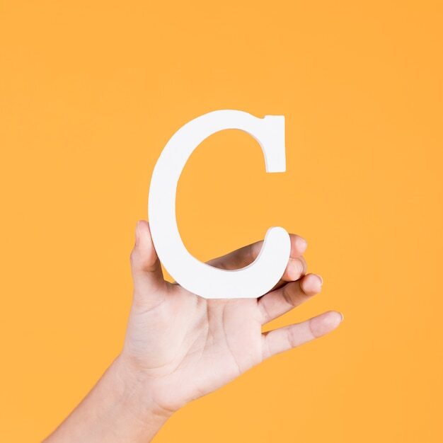  C | scanf, gets, fgets 입력 함수 이해하기
