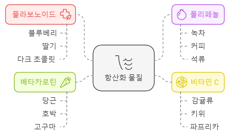 항산화 음식 섭취