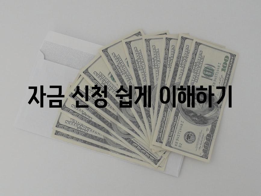 자금 신청 쉽게 이해하기