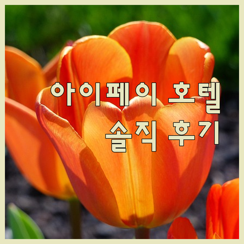 청두 '아이페이 호텔' 솔직 후기! 