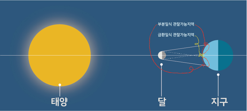 금환일2
