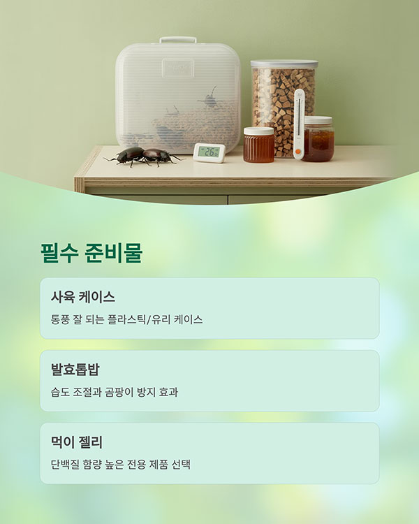 필요한 준비물