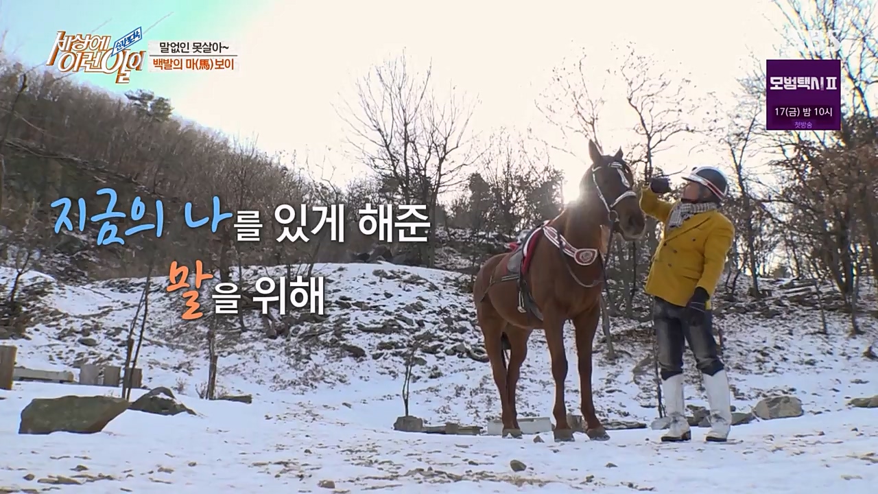 순간포착 세상에 이런일이.E1216.230208p-NEXT.mp4_20230208_194202.413.jpg