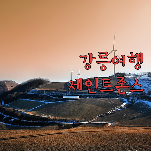강릉 '세인트존스 호텔', 왜 다들 