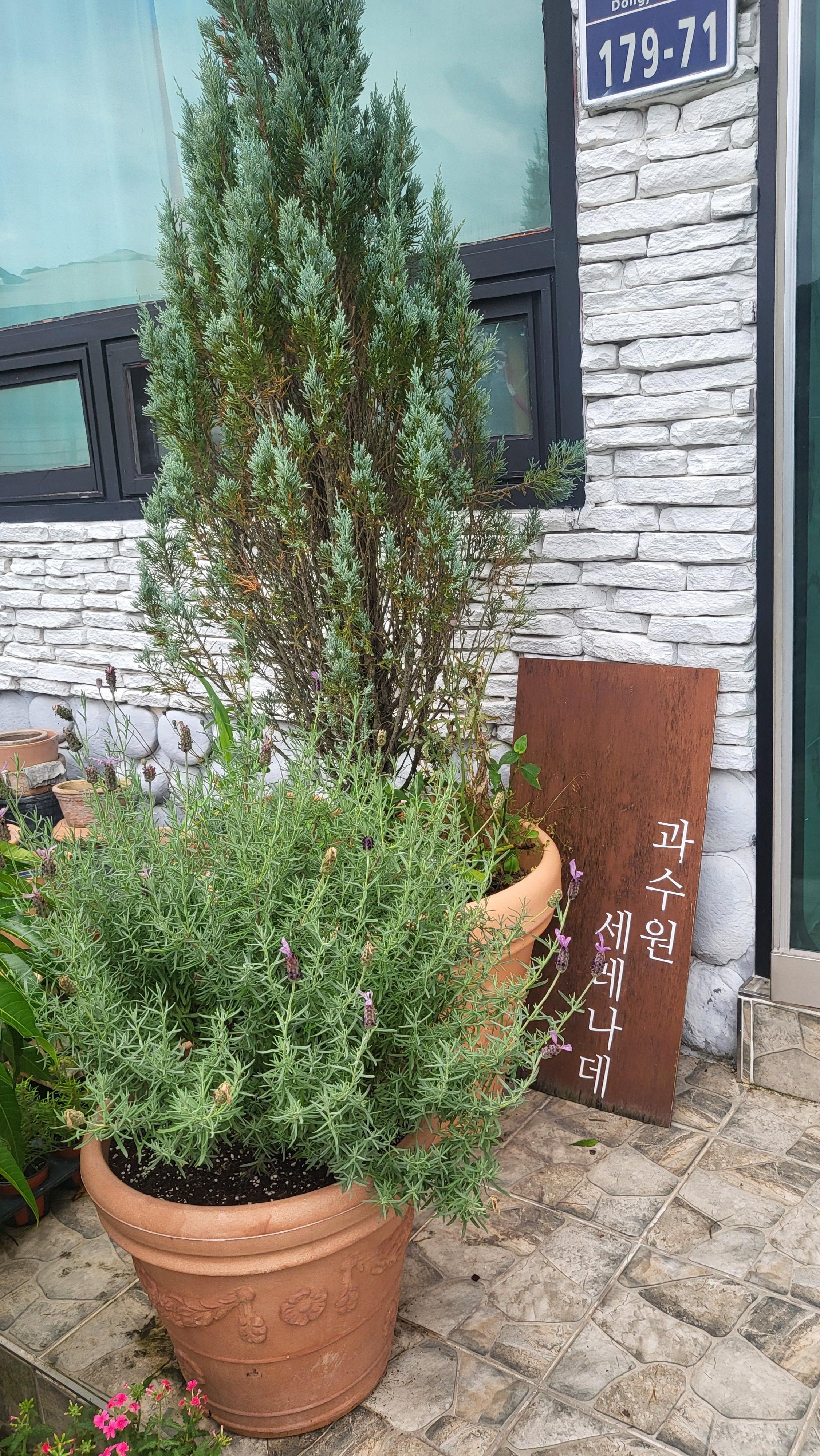 간판