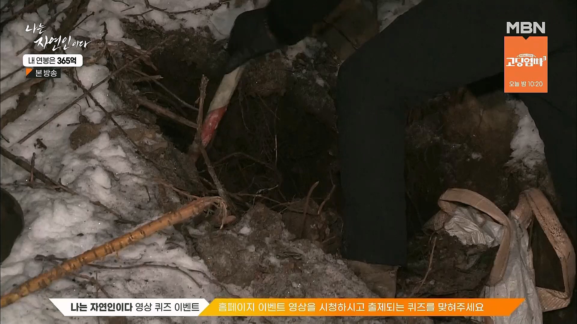 나는 자연인이다.E537.230118p.H264-F1RST.mp4_20230119_204852.562.jpg