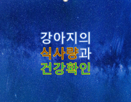  강아지 식사량과 건강확인