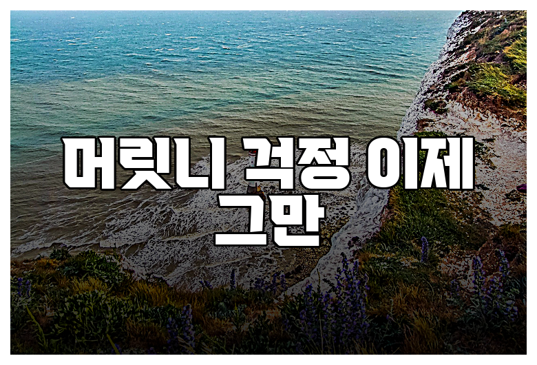 머릿니 걱정 이제 그만