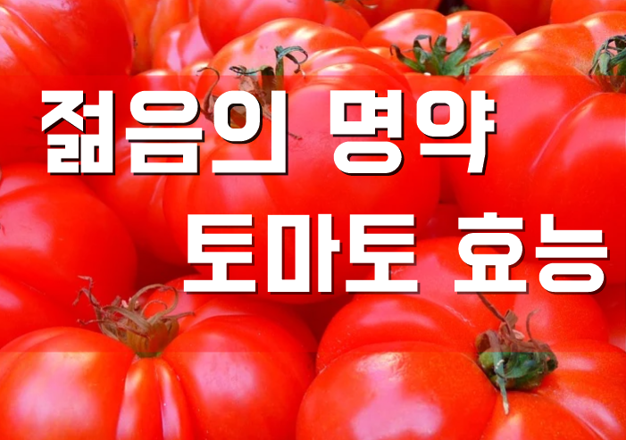  알고보면 더 놀라운 토마토 효능