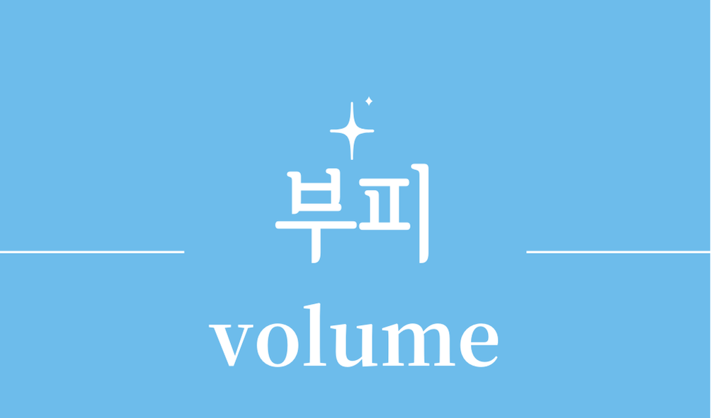 '부피(volume)'