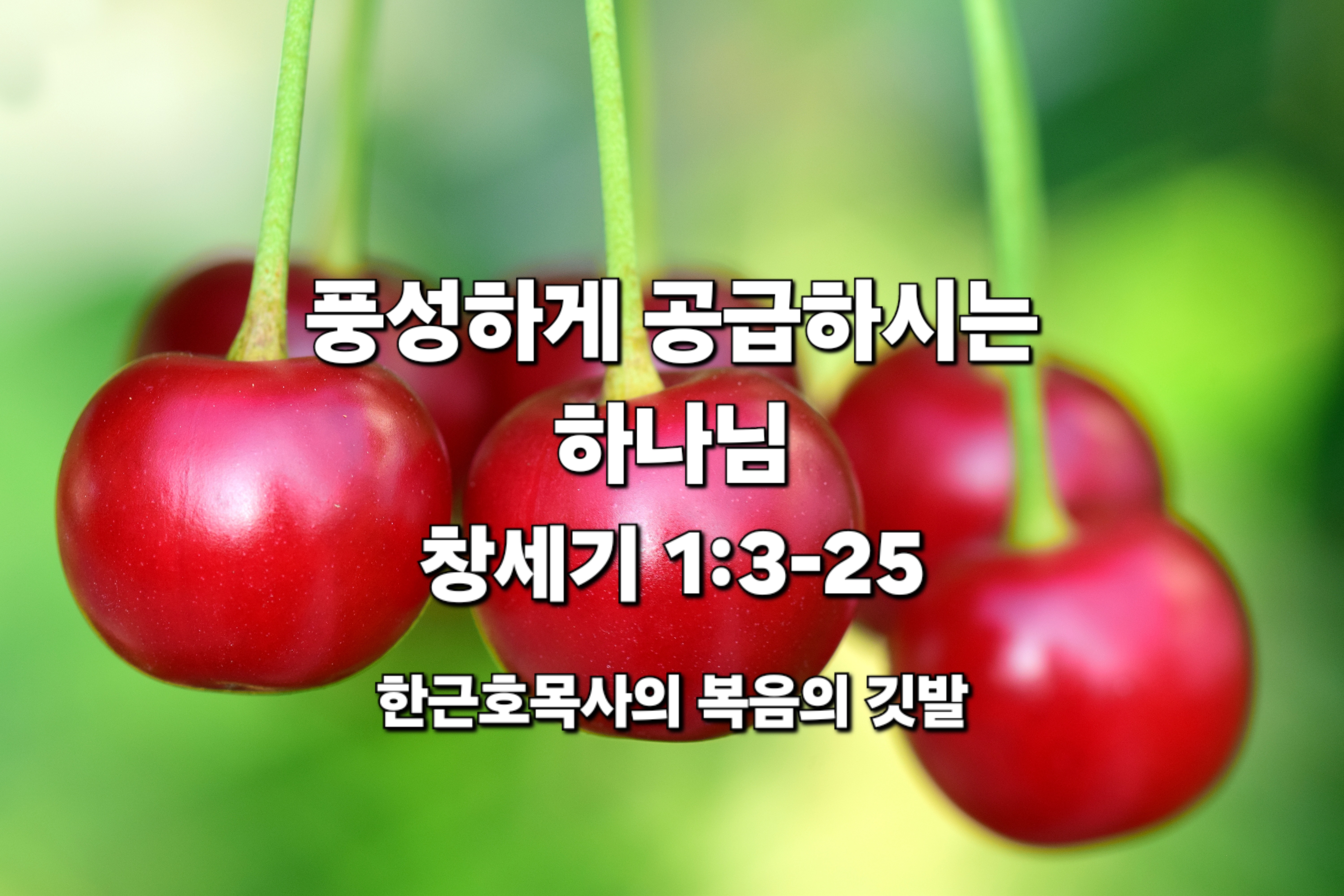  풍성하게 공급하시는 하나님 (창세기 1장 3-25절)