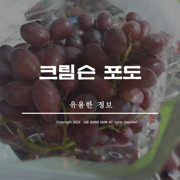  씨 없는 크림슨 포도 당도가 정말 최고입니다.