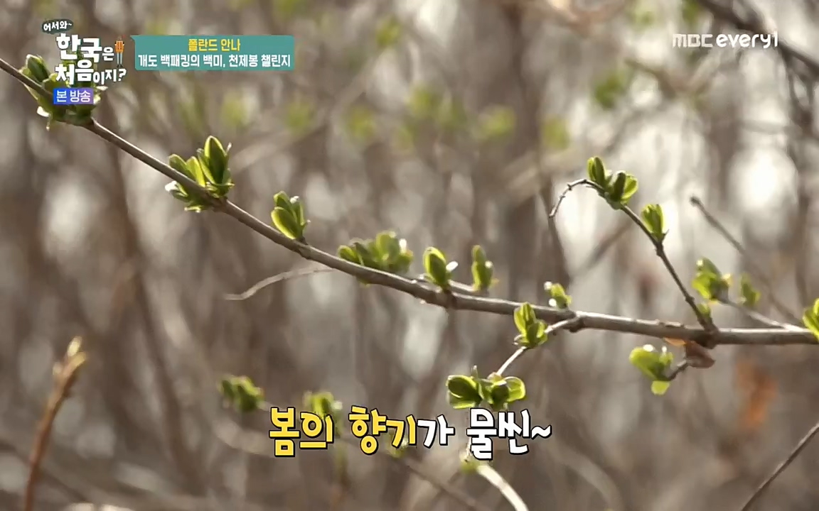 어서와 한국은 처음이지 시즌2.E210.220513p-NEXT.mp4_20220513_200054.805.jpg