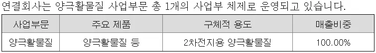 사업부문