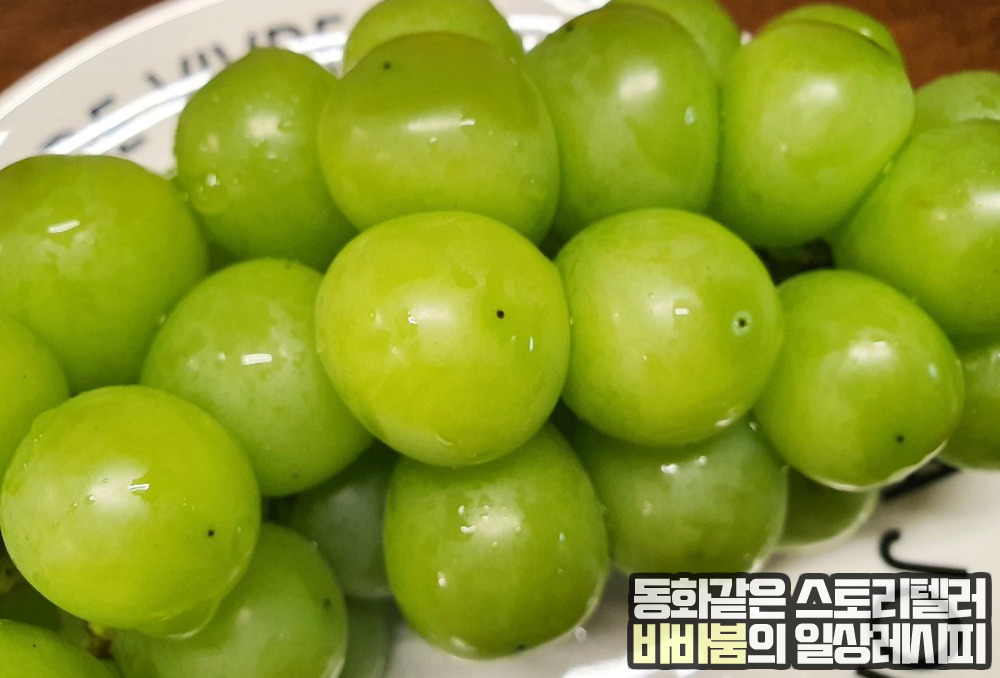  과일계의 귀족, 망고향나는 청포도 '샤인머스캣'
