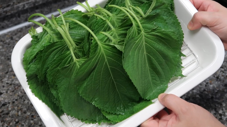 깻잎김치 황금레시피