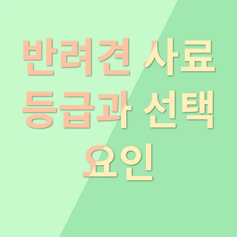 반려견 사료_1