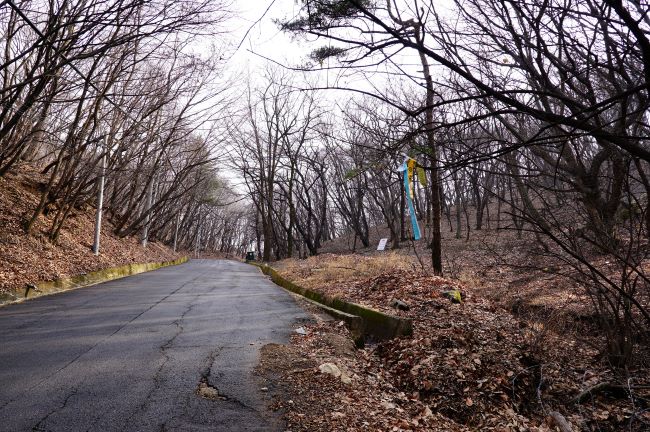 이어지는 오르막 아스팔트 포장길&#44; 길 양쪽에 우거진 나무들&#44; 우측 나뭇가지에 매어 놓은 하늘색 리본&#44; 흐린 하늘&#44;