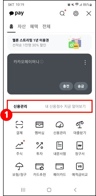 카카오페이-신용-조회