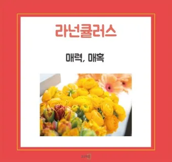 예쁜 꽃말 추천 모음 이해할수록 매력적인 꽃들의 꽃말 안내 모음_24